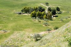 Sizilien (265 von 565).jpg